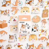 Girl Generation Series Boxed Stickers