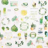 Girl Generation Series Boxed Stickers